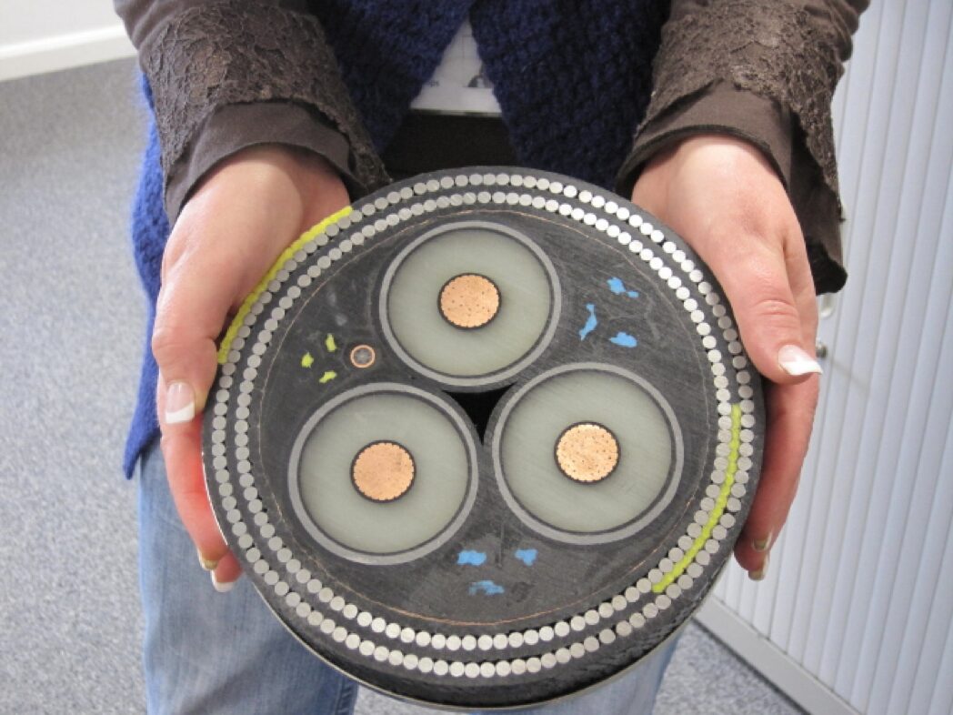 Hands holding a cross-section of a submarine cable